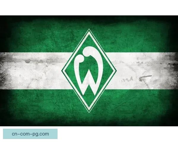 云达不莱梅宣布大幅提升球场新能源占比树立德甲绿色转型新标杆